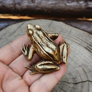 May include: A small, detailed brass frog figurine. The frog is in a sitting position with its legs and arms extended. The brass has a golden hue with darker accents, giving it an aged appearance. The frog is resting on a wooden surface.