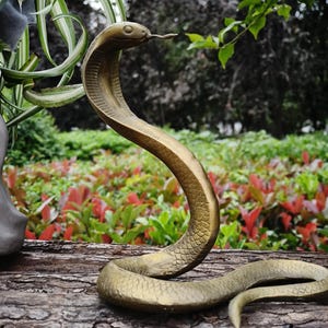 Op de afbeelding: Een gouden cobra standbeeld met een opgetrokken kap en gespleten tong, rustend op een stuk hout. De slangen sculptuur heeft gedetailleerde schubben en staat tegen een achtergrond van groen en rood blad.