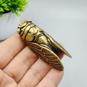 May include: A detailed brass cicada figurine. The insect is depicted with intricate wing and body details, showcasing a textured surface and a golden-brown color. The cicada is a decorative item.