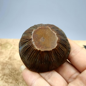 May include: A small, round, antique-style brown bowl with a textured, ridged exterior. The bowl's interior is a lighter brown with a stamped design. The bowl is held in a person's hand, with a neutral background.