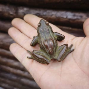 Puede incluir: Figurilla de rana de bronce con una superficie detallada y texturizada. La rana está representada en una pose relajada, con las patas extendidas y los ojos mirando hacia adelante. La figurilla tiene un aspecto envejecido, con tonos verdes y marrones.