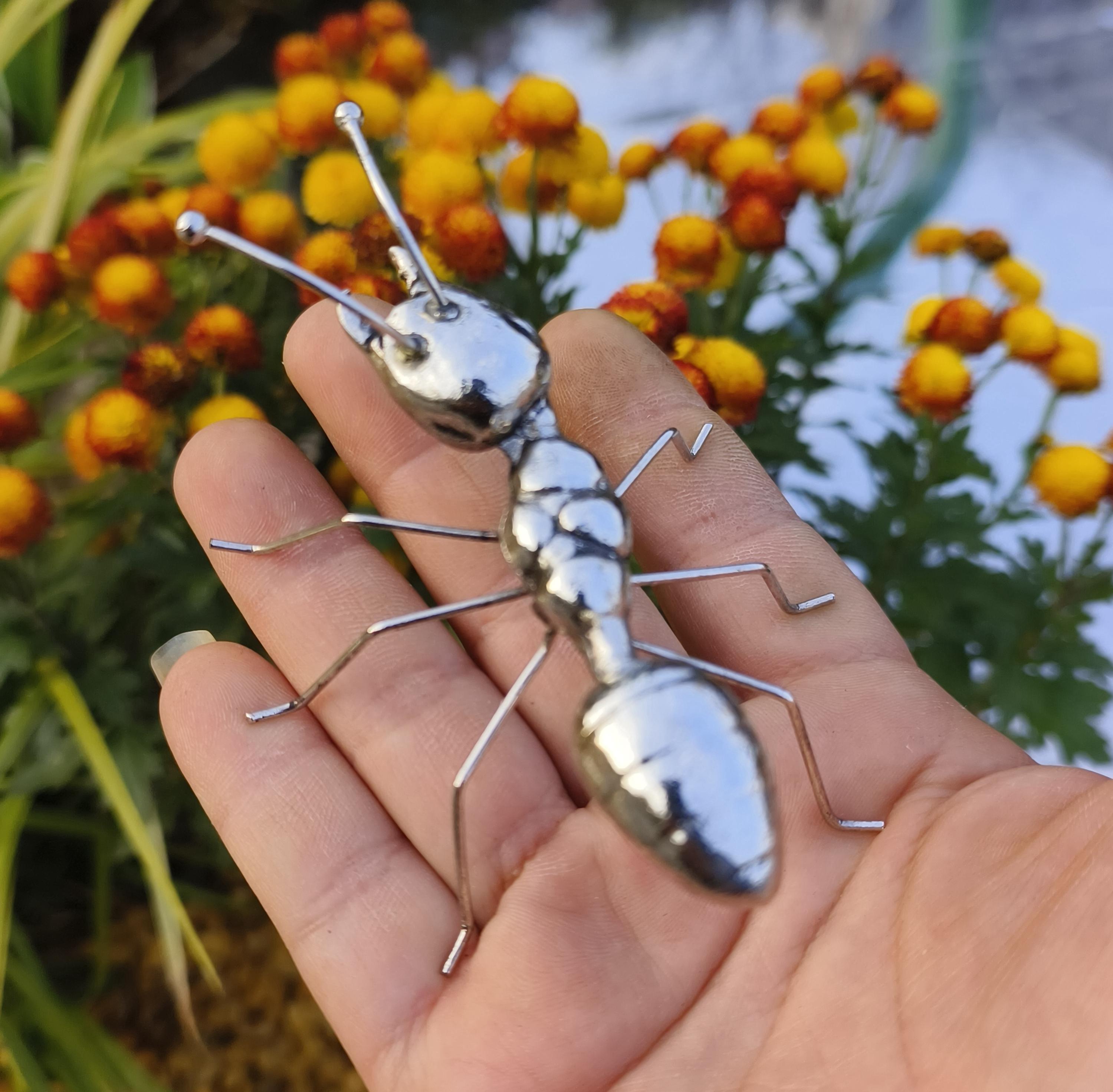 アリの彫刻 - Etsy 日本