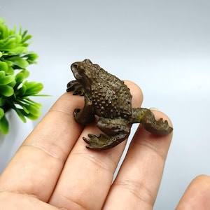 May include: A detailed bronze frog figurine with a textured surface. The frog is in a sitting position, with its legs extended. The figurine is a dark brown color and appears to be made of metal.