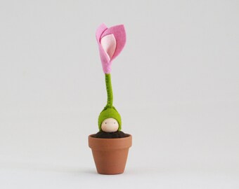 Baby spring flower sprout