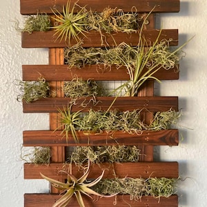 Wooden Wall Mounted Hanging Planter & Floating Display | Hanging Planter | Plant Shelf | Pot Hanger | Handmade Shelf | Plant Holder