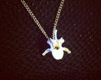 Vertebrae Necklace