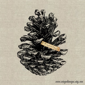 May include: Detailed black and white illustration of a pine cone against a beige backdrop. The image showcases the cone's intricate scales and texture. A small tag with the text "Winged Images" is attached. The website address www.wingedimages.etsy.com is at the bottom.