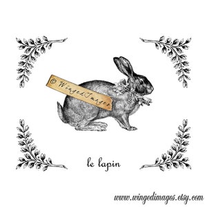 Vintage French Rabbit Le Lapin. Instant Download Digital Image No.148 Iron-On Transfer to Fabric burlap, linen Paper Prints cards, tags image 2
