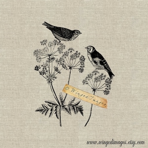 Puede incluir: Ilustración en blanco y negro de dos pájaros posados ​​en una planta con flores. La imagen incluye el texto "© Winged Images" y el sitio web "www.wingedimages.etsy.com".