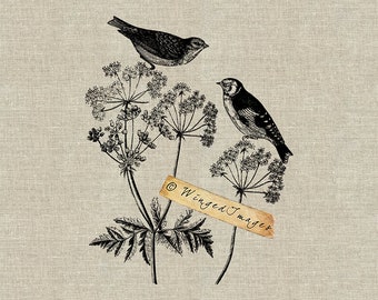 Garden Birds. Instant Download Digital Image No.28 Iron-On Transfer to Fabric (burlap, linen) Paper Prints (cards, tags)