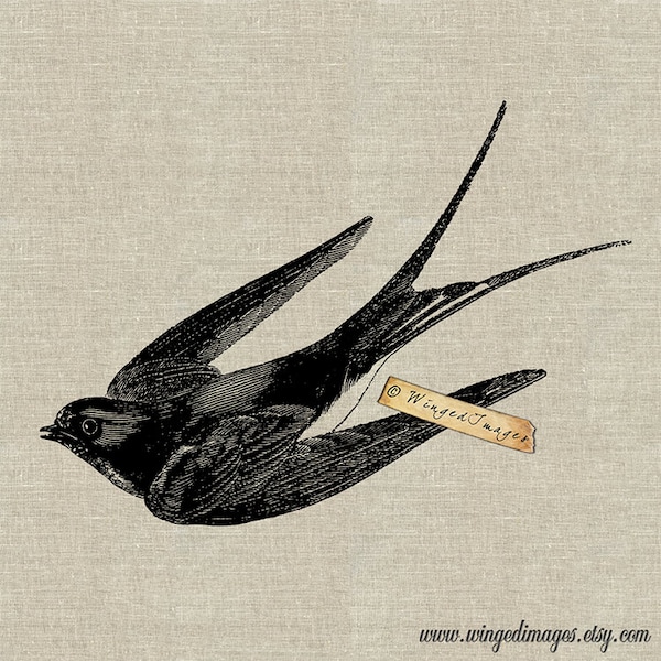 Flying Swallow Instant Download Digital Image No.57 Iron-On Transfer to Fabric (burlap, linen) Paper Prints (cards, tags)