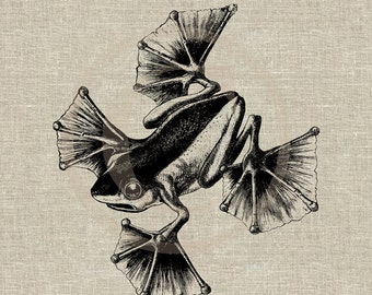 Flying Frog  Instant Download Digital Image No.12 Iron-On Transfer to Fabric (burlap, linen) Paper Prints (cards, tags)