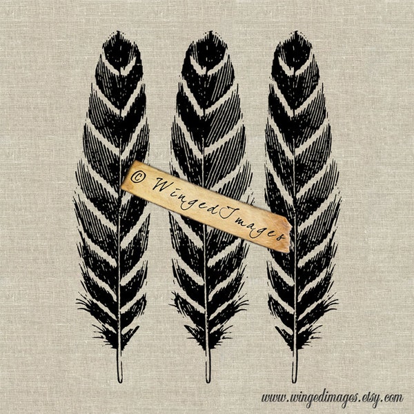 Bird Feathers Instant Download Digital Image No.146 Iron-On Transfer to Fabric (burlap, linen) Paper Prints (cards, tags)