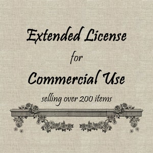 Extended License for Commercial Use Selling Over 200 Items