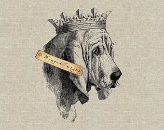 Bloodhound. Instant Download Digital Image No.208 Iron-On Transfer to Fabric (burlap, linen) Paper Prints (cards, tags)