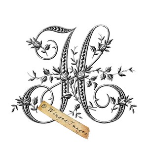 Puede incluir: Una elaborada letra "M" en blanco y negro con adornos florales y de cuentas. El dise&ntilde;o presenta hojas y flores delicadas, con un adorno en forma de voluta. El texto "&copy; Winged Images" est&aacute; en una pancarta beige.