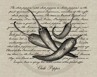 Ají picante. Descarga instantánea Imagen digital No.155 Iron-On Transfer to Fabric (arpillera, lino) Impresiones en papel (tarjetas, etiquetas)