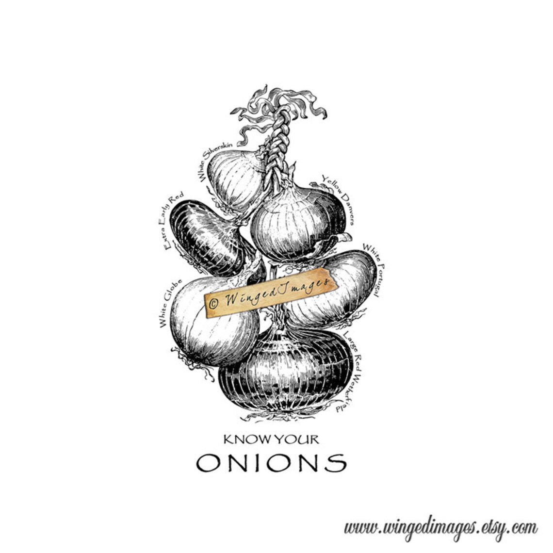 Know Your Onions. Instant Download Digital Image No.300 Etsy