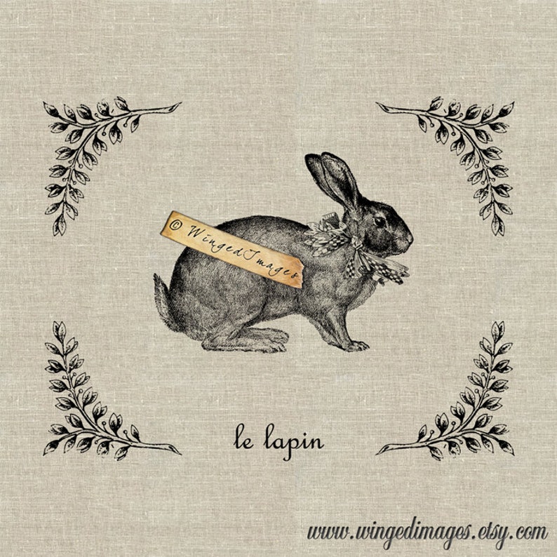 Vintage French Rabbit Le Lapin. Instant Download Digital Image No.148 Iron-On Transfer to Fabric burlap, linen Paper Prints cards, tags image 1