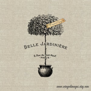 Belle Jardiniere Beautiful Garden Instant Download Digital Image No.96 Iron-On Transfer to Fabric (arpillera, lino) Impresiones en papel (tarjetas, etiquetas)