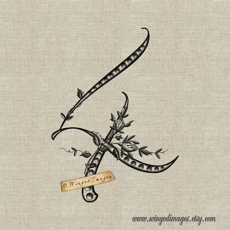 FOUR FRENCH MEANING visual data 4