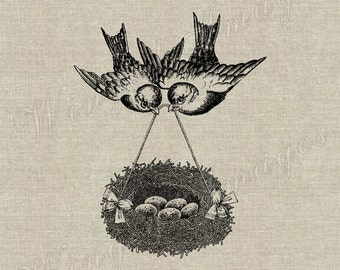 Dos Pájaros Y Nido Con Huevos. Descarga instantánea Imagen digital No.305 Iron-On Transfer to Fabric (arpillera, lino) Impresiones en papel (tarjetas, etiquetas)