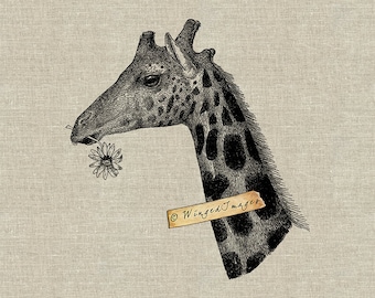 Giraffe Flower in his Mouth. Instant Download Digital Image No.318 Iron-On Transfer to Fabric (burlap, linen) Paper Prints (cards, tags)