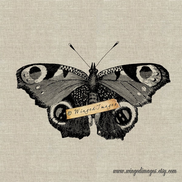Large Beautiful Butterfly Instant Download Digital Image No.267 Iron-On Transfer to Fabric (burlap, linen) Paper Prints (cards, tags)