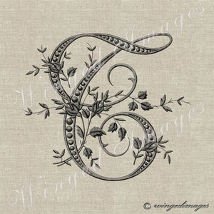 May include: A black and white illustration of a decorative letter E with floral embellishments. The letter is surrounded by a string of pearls and has a vintage style.