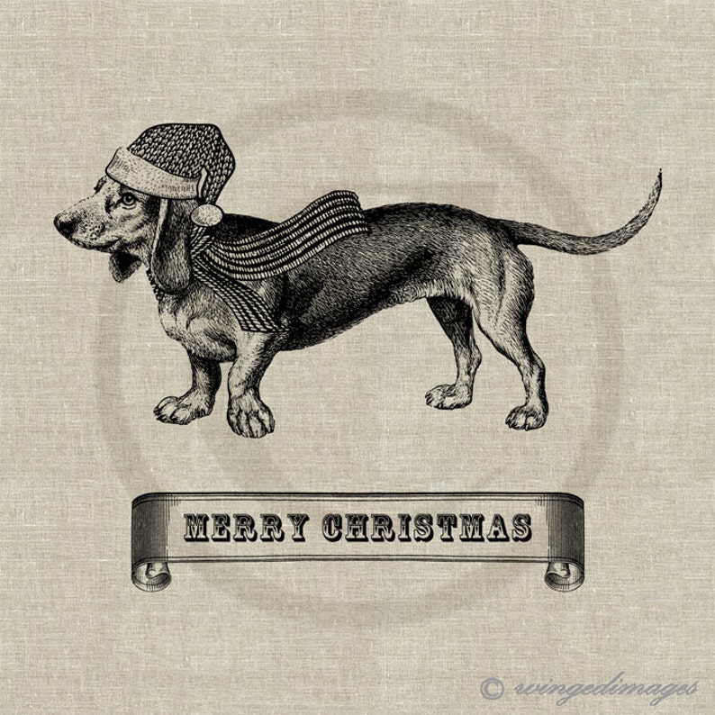 Christmas Dachshund Instant Download Digital Image No.150 Iron-On Transfer to Fabric burlap, linen Paper Prints cards, tags image 1