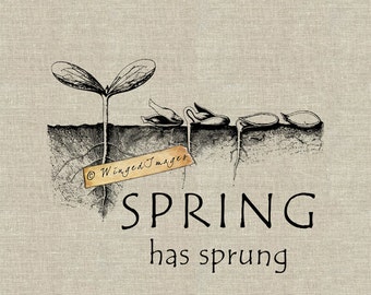 Spring has Sprung. Instant Download Digital Image No.238 Iron-On Transfer to Fabric (burlap, linen) Paper Prints (cards, tags)