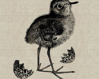 Baby Bird Instant Download Digital Image No.29 Iron-On Transfer to Fabric (burlap, linen) Paper Prints (cards, tags)