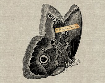 Butterfly. Instant Download Digital Image No.328 Iron-On Transfer to Fabric (burlap, linen) Paper Prints (cards, tags)