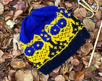May include: A blue and yellow knitted hat with an owl pattern. The hat is lying on a bed of brown and yellow leaves.