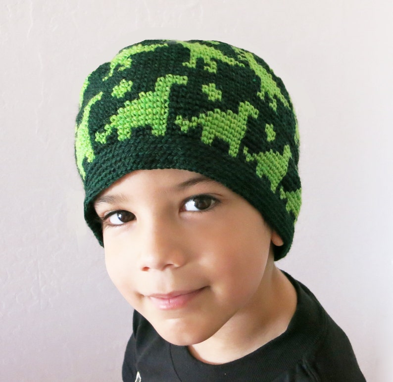 Crochet Pattern Dino Beanie Sizes for All Ages DIY Dinosaur Hat Tutorial Instant Download PDF Dinosaur Lover Beanie image 2