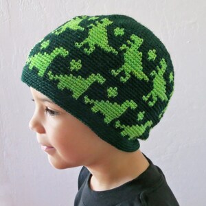 Crochet Pattern Dino Beanie Sizes for All Ages DIY Dinosaur Hat Tutorial Instant Download PDF Dinosaur Lover Beanie image 3