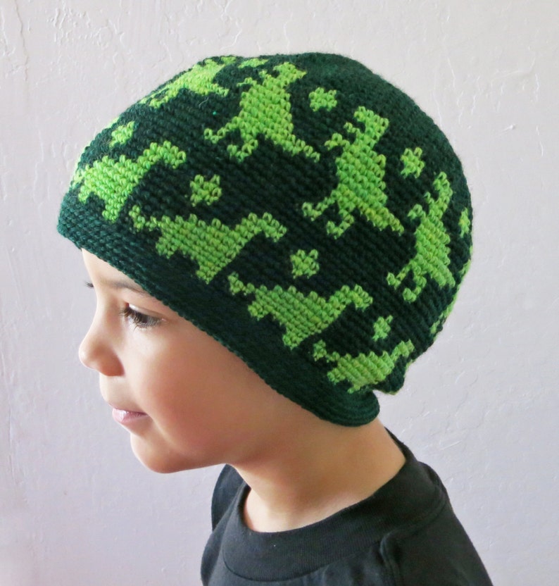 Crochet Pattern Dino Beanie Sizes for All Ages DIY Dinosaur Hat Tutorial Instant Download PDF Dinosaur Lover Beanie image 3