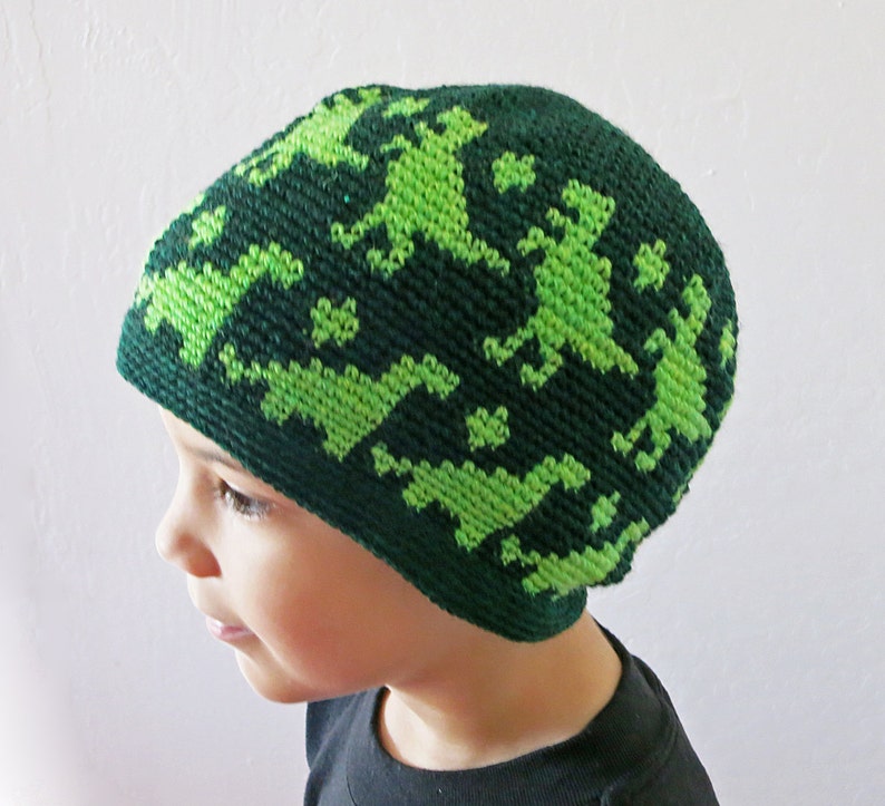 Crochet Pattern Dino Beanie Tailles pour tous les âges Tutoriel de chapeau de dinosaure bricolage Téléchargement instantané PDF Bonnet d'amant de dinosaure image 1