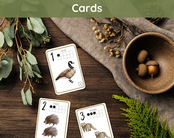 Nature Numbers 1–10 Cards Counting Flashcard Early Learning Math Printable Montessori Charlotte Mason Inspired Morning Basket Preschool