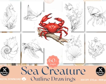 60+ Sea Creature Outlines Adult Coloring Pages DIY Paint Art Kit Template (Digital Download)