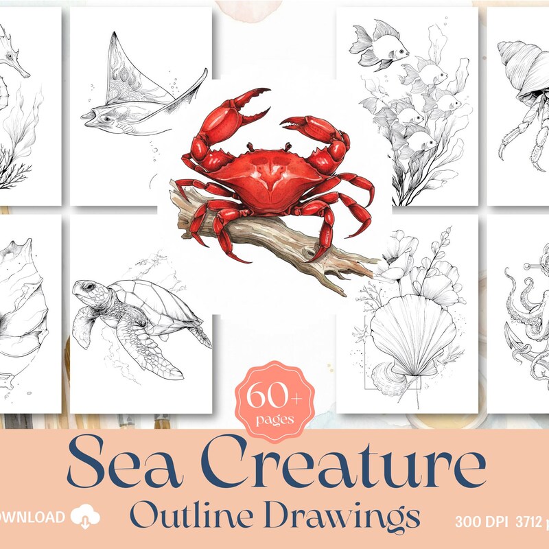 Ocean Hand Drawn Coloring - Etsy