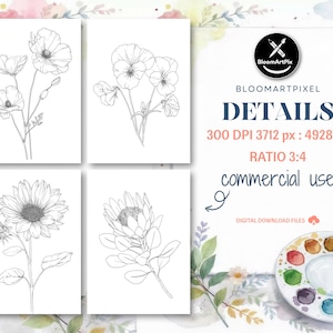 May include: Four botanical line art prints of flowers, including poppies, pansies, a sunflower, and a protea. The prints are on white backgrounds. The image also includes the text "BloomArtPix", "DETAILS", "commercial use", and other details.
