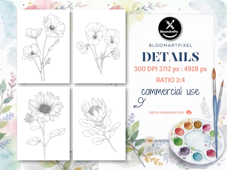 May include: Four botanical line art prints of flowers, including poppies, pansies, a sunflower, and a protea. The prints are on white backgrounds. The image also includes the text "BloomArtPix", "DETAILS", "commercial use", and other details.