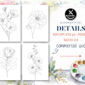 60+ Flower Outlines Adult Coloring Pages DIY Paint Art Kit Template (Digital Download) image 7