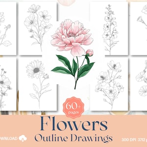 60+ Flower Outlines Adult Coloring Pages DIY Paint Art Kit Template (Digital Download)