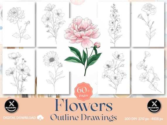 60+ Flower Outlines Adult Coloring Pages DIY Paint Art Kit Template (Digital Download)