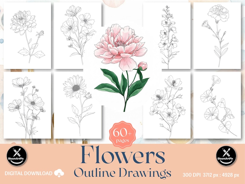 60+ Flower Outlines Adult Coloring Pages DIY Paint Art Kit Template (Digital Download) image 1