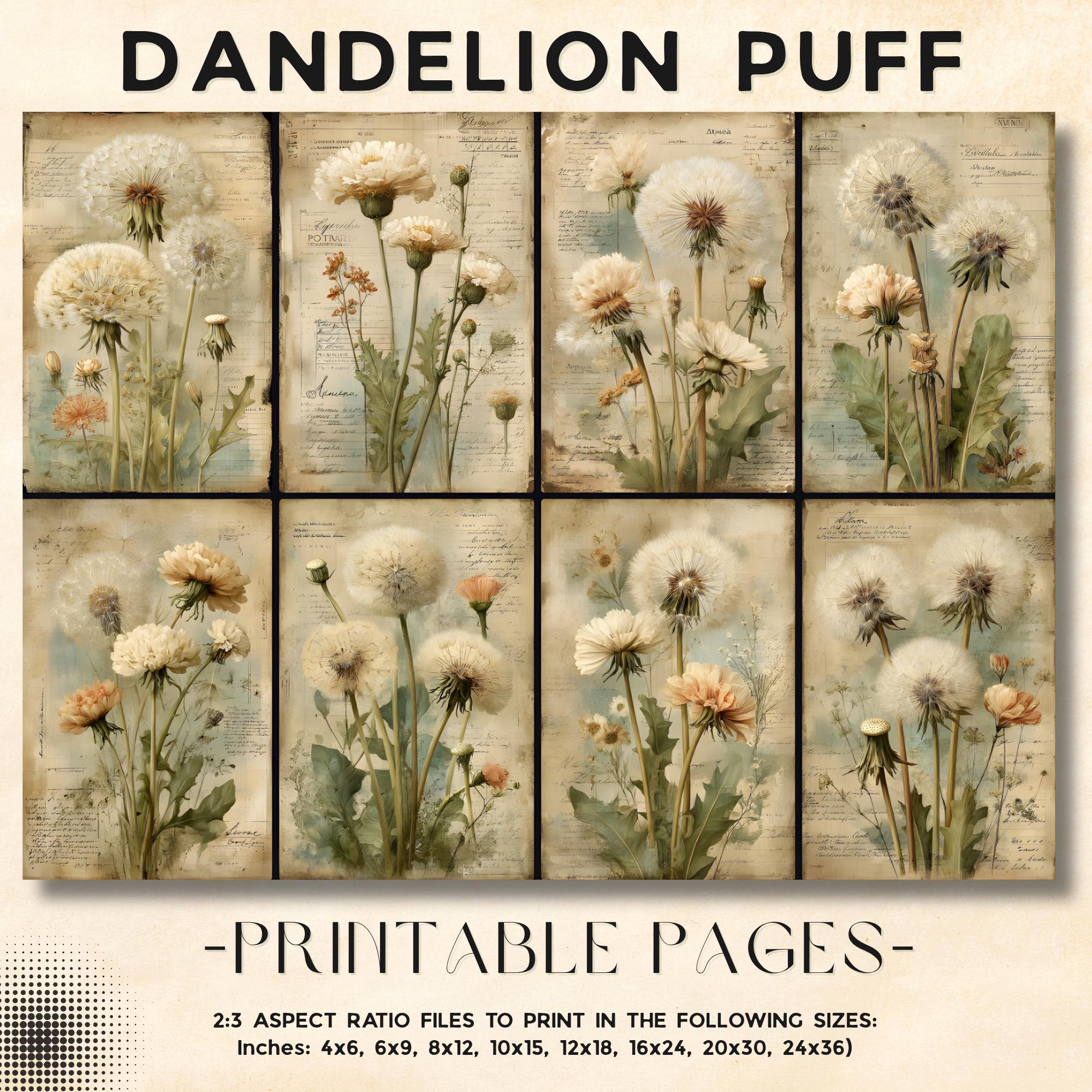 Dandelion Puff Junk Journal Pages Vintage Botanical Ephemera ...