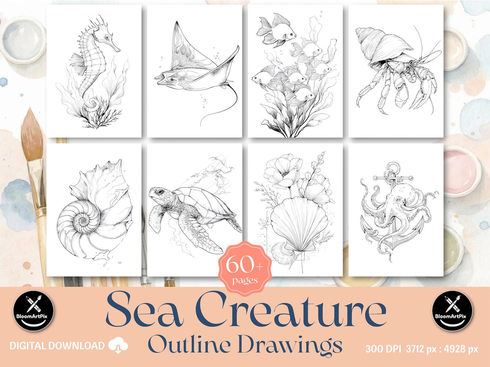 60+ Sea Creature Outlines Adult Coloring Pages DIY Paint Art Kit ...