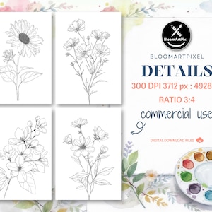 May include: Four botanical line art prints showcasing detailed drawings of sunflowers, cosmos, and other flowers. The prints are on white backgrounds. The image also includes a watercolour palette, paintbrushes, and the text "BloomArtPix", "DETAILS", "commercial use".